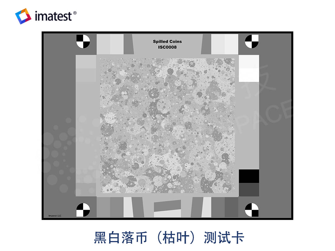 Black & White Spilled Coins (Dead Leaves) Test Chart