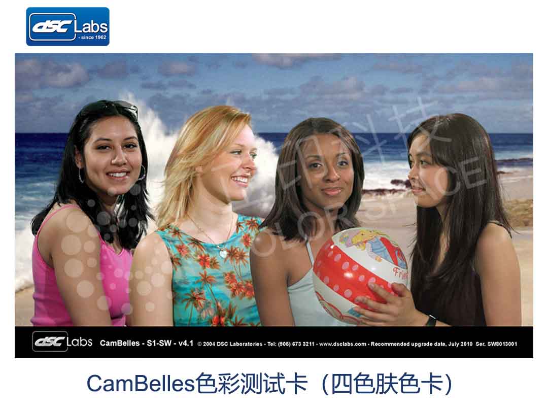 CamBelles色彩测试卡（四色肤色卡）