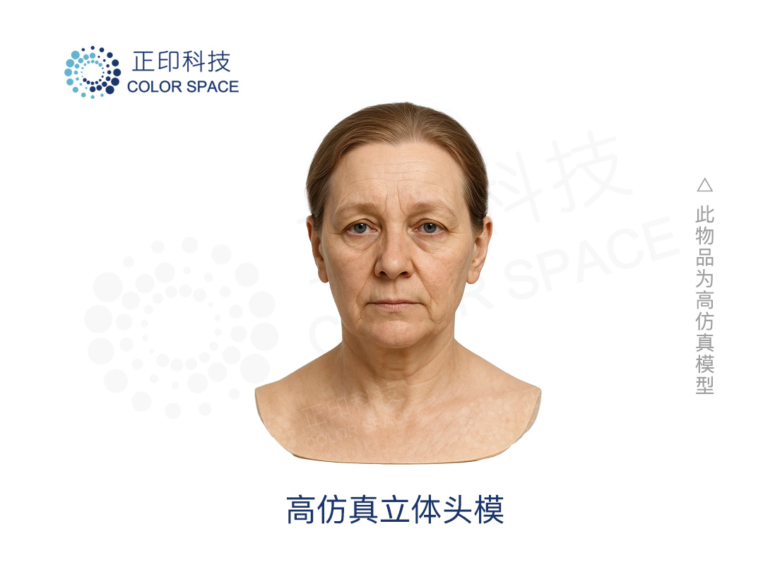 高仿真立体头模