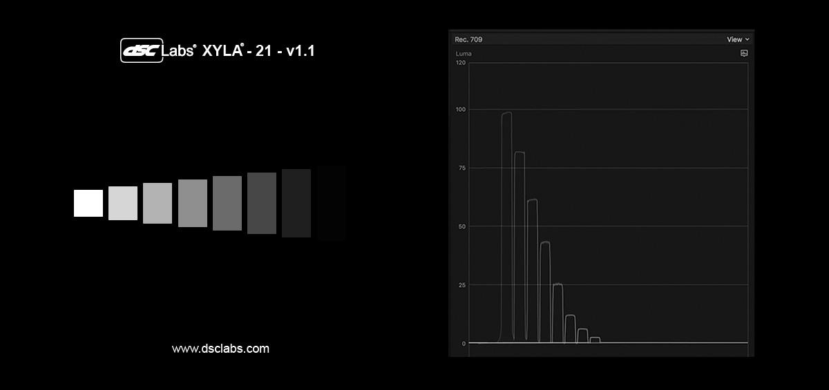 XYLA-8Steps-1