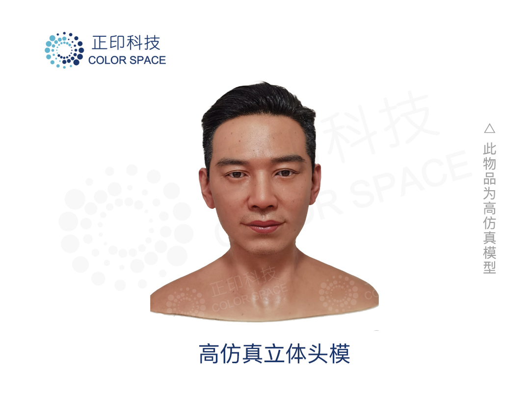  亚洲青年男性半身仿真头模-正印科技