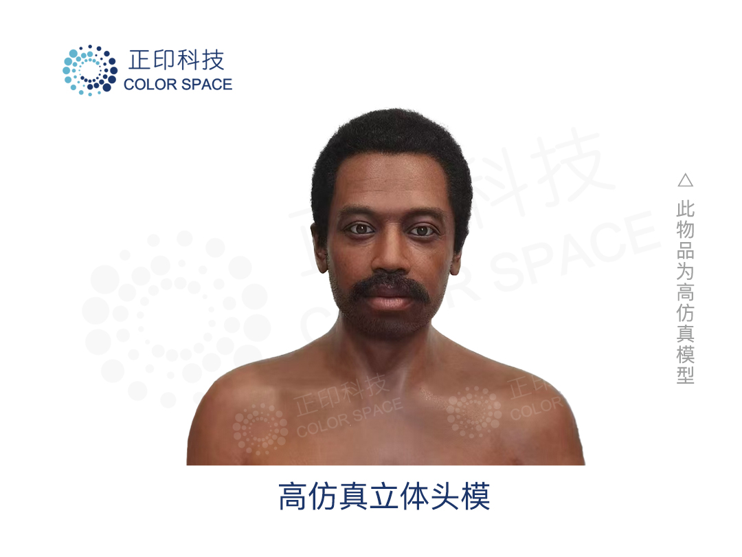  非洲青年男性仿真立体头模-正印科技