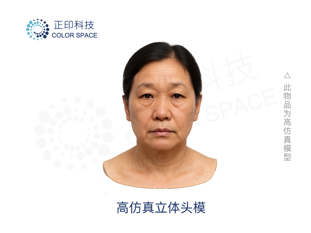  亚洲中年女性仿真立体头模-正印科技