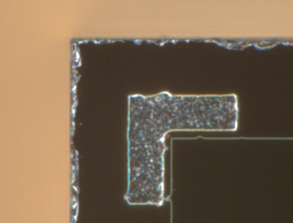 Detector Electrode (Darkfield Illumination, 2000×)