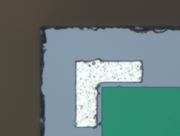 Detector Electrode (Brightfield Illumination, 2000×)