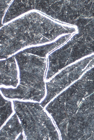 Coin (Original Image, 50×)